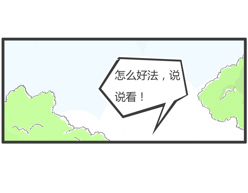 火锅家族第二季 投资者哲学 第28页