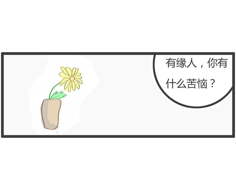 火锅家族第二季 老公 第5页