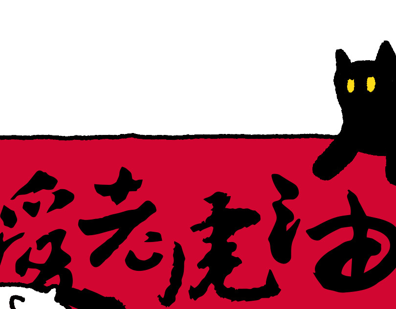 爱老虎油 谁是美女 第11页