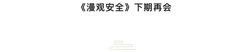 《漫观安全第一季》 孤勇者的自我测评 第39页