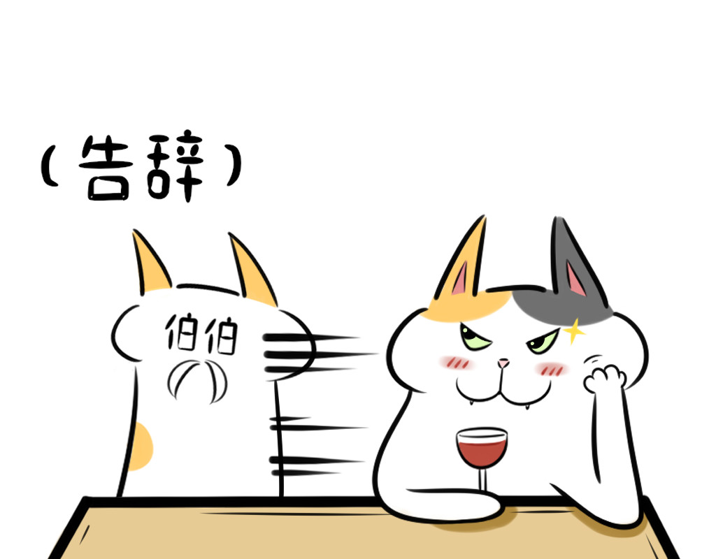 阿福日记 过年聊天指南 第13页
