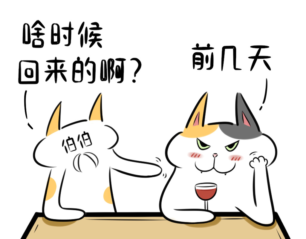 阿福日记 过年聊天指南 第7页